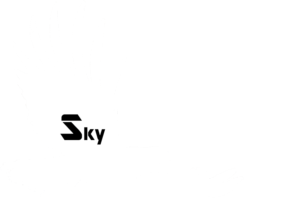 skyvisionproTV